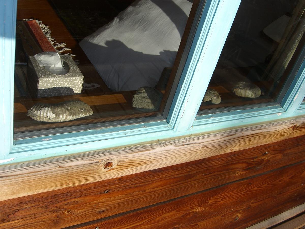 Brigitte'S Bavarian Bed Und Breakfast Millers Landing Exterior foto